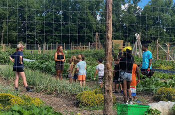 Summer Celebration Fundraiser